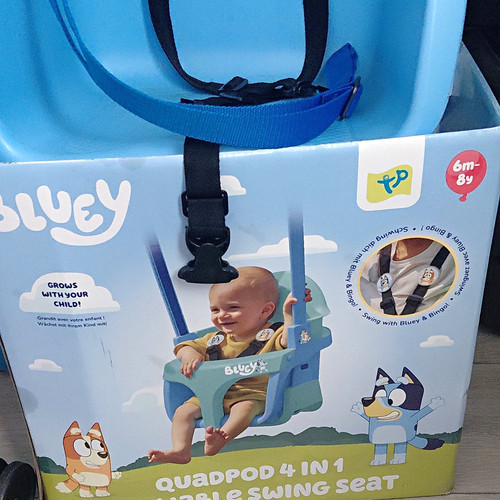 Bluey swing set - bluey,